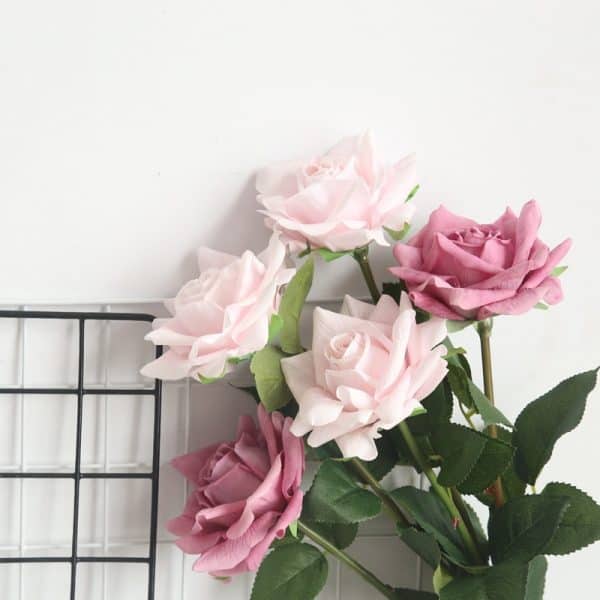 Paris Sunshine Single Rose 5