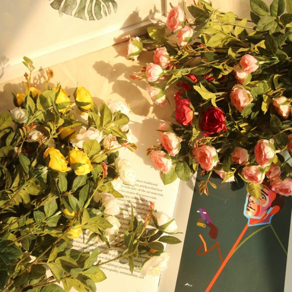 Wild Tea Rose 2