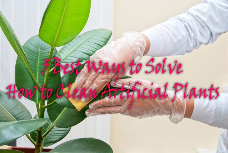 5 Best Ways to Solve How to Clean Artificial Plants Artificial