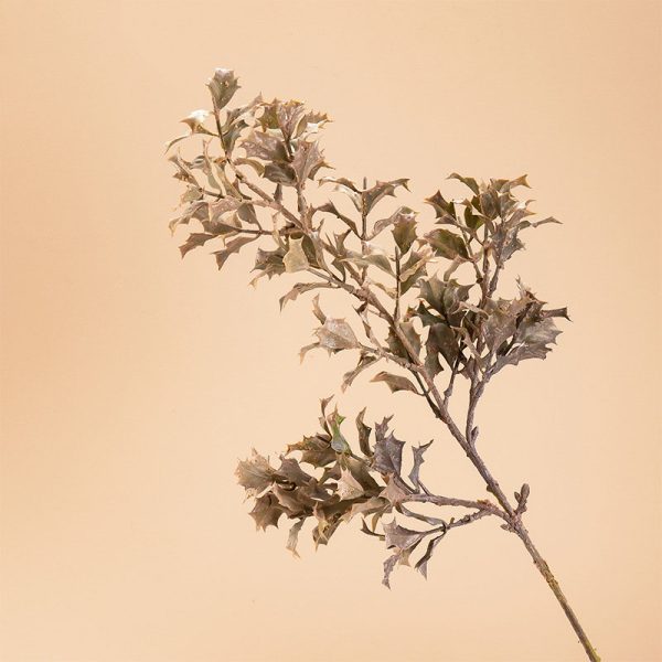 Withered Hali Branch 4