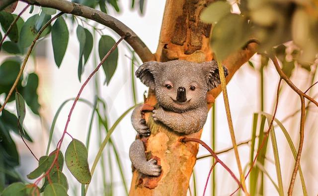 The Problem with Fake Eucalyptus: How to Spot and Avoid Imitation Products